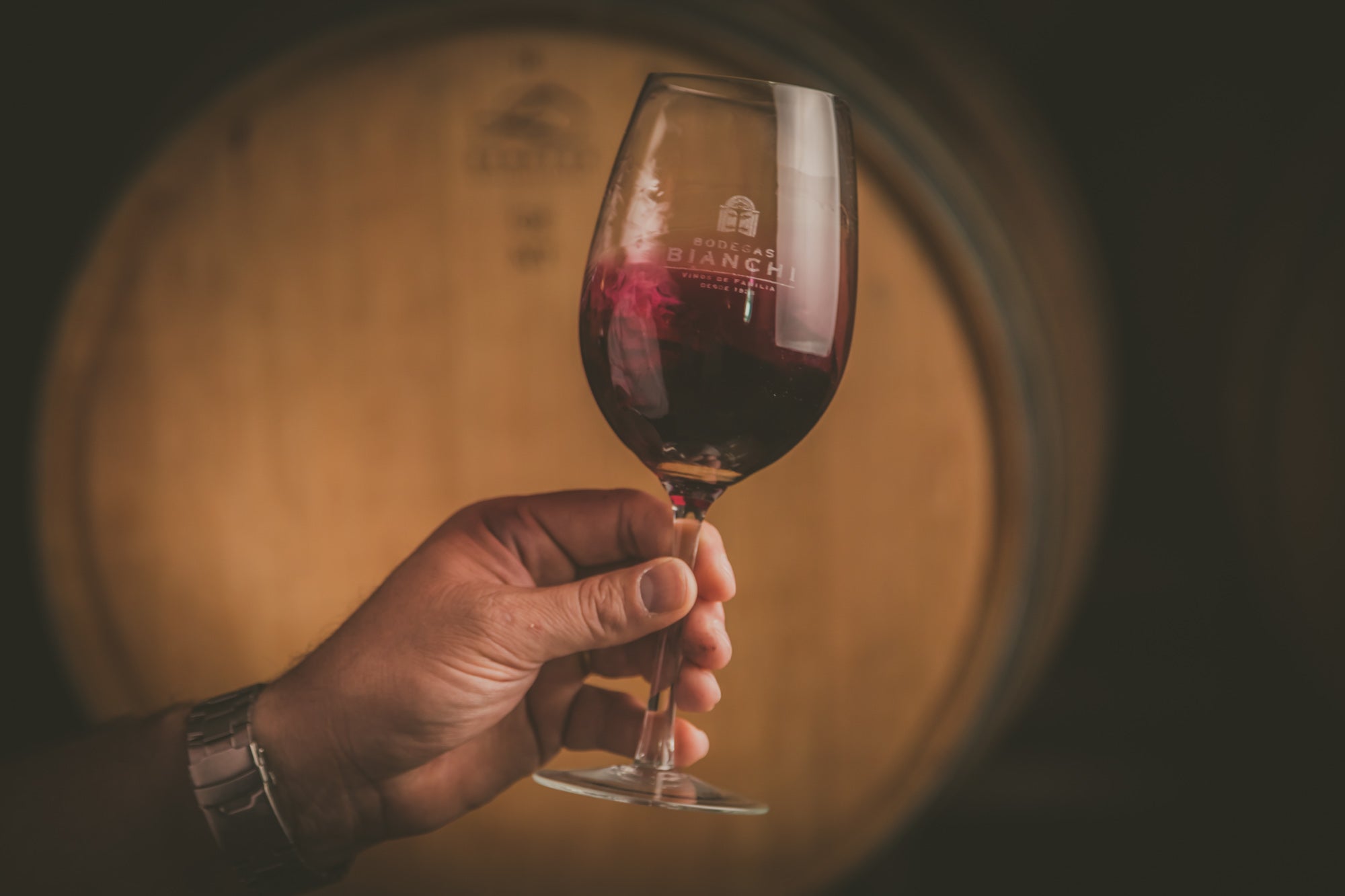 ABC de la Elaboración del Vino