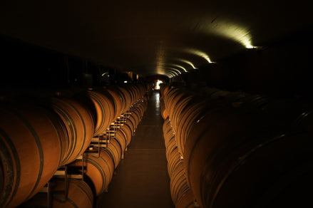 ¿Qué es una barrica para vino?