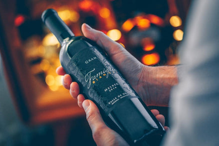 ¿Qué tipos de botellas de vino existen?