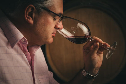 ¿Cuáles son los pasos para catar un vino perfectamente?