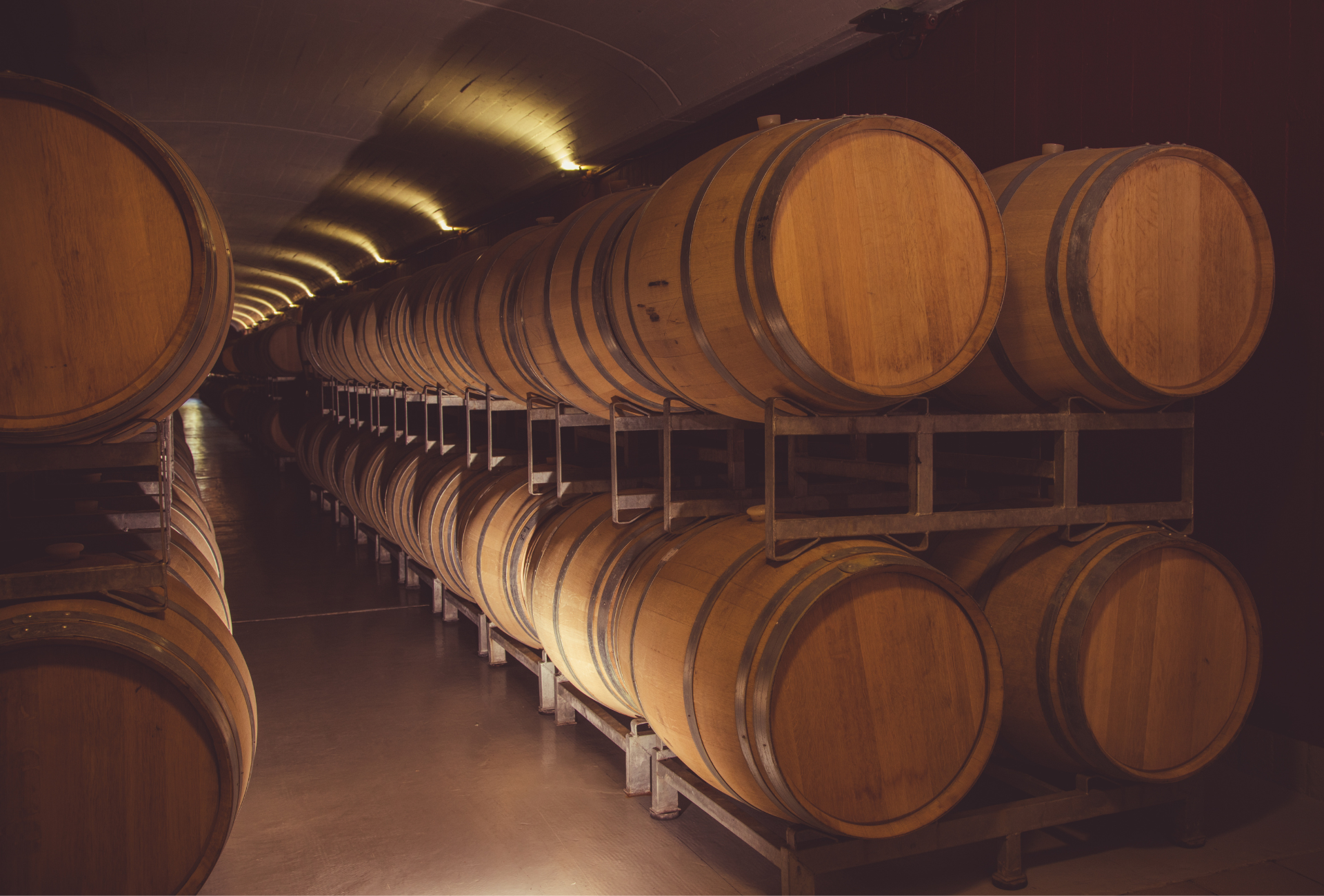 Qué aportan los años de guarda al vino: cuánto tiempo y cómo guardar un vino