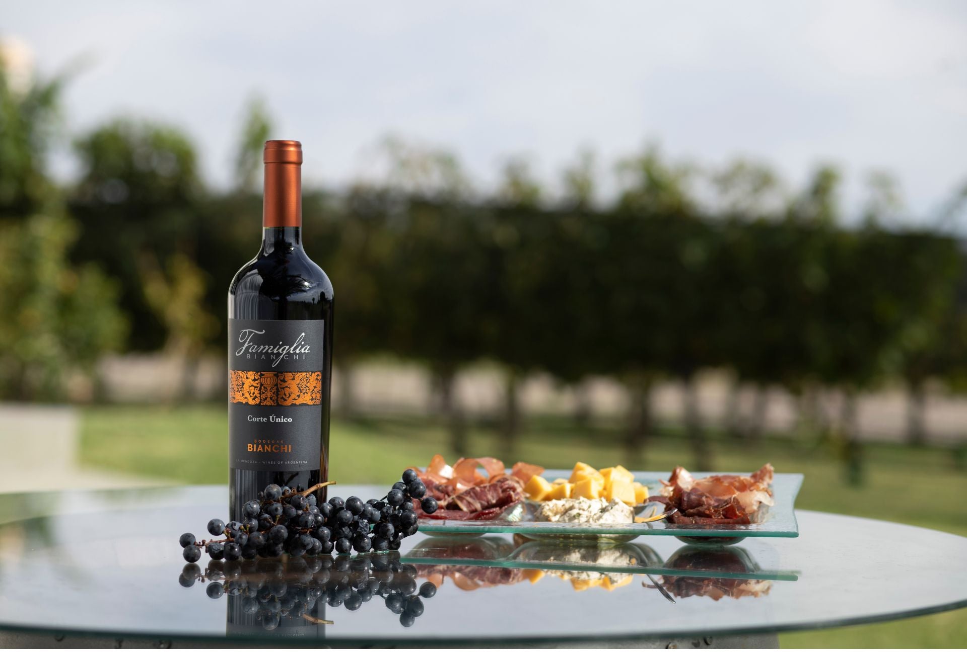 Maridajes de vinos y quesos