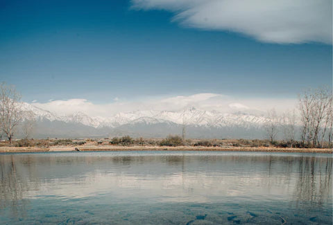 Vacaciones de Invierno junto a Bodegas Bianchi