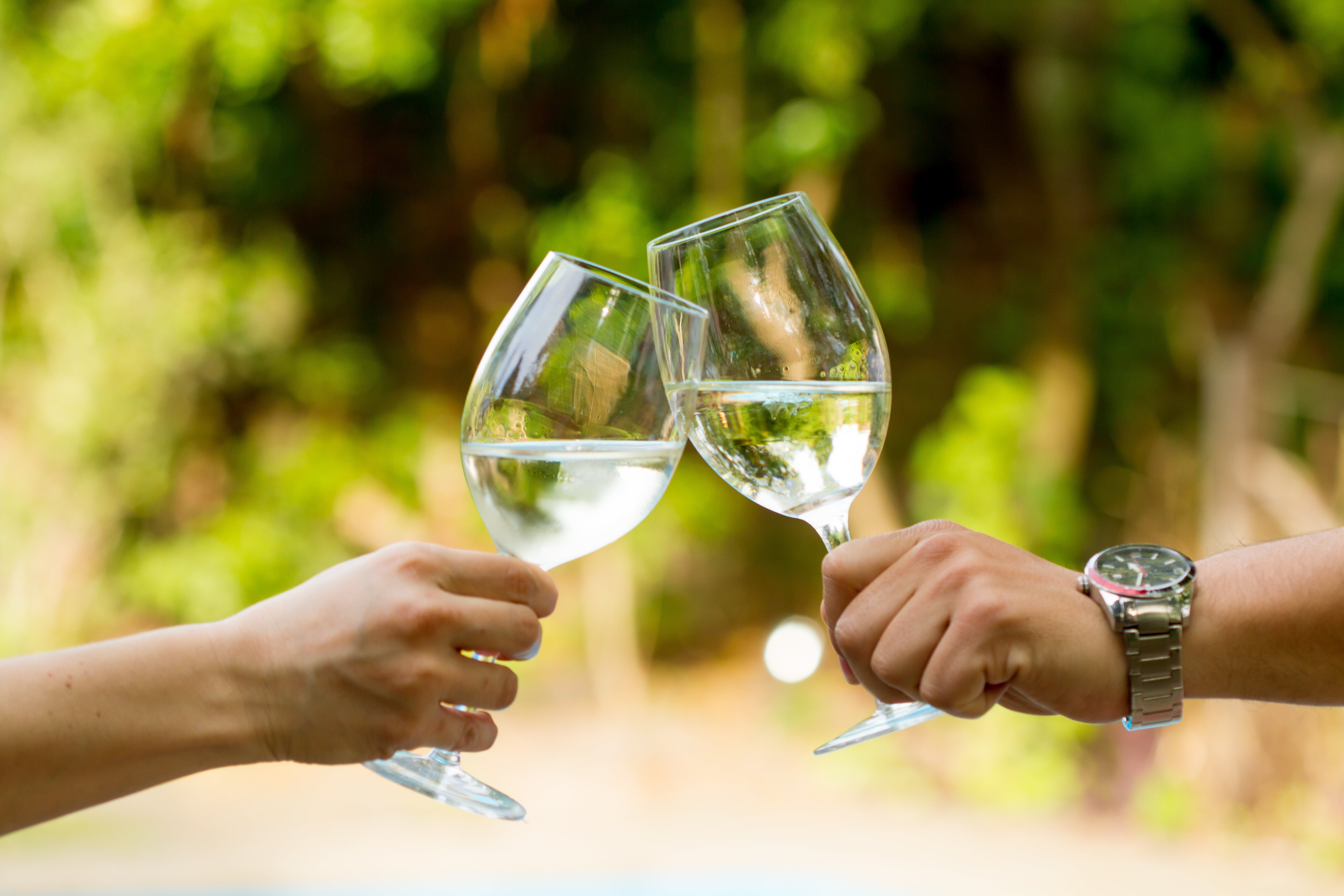 Vinos Blancos para Tomar en Primavera