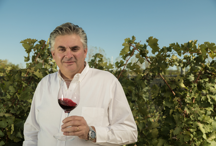 ¿Qué es un enólogo y qué hace en la bodega?